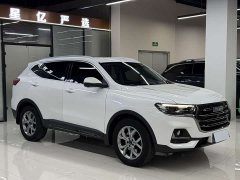 Haval H6 2021 Guochao Edition 1.5T Automatic Champion Edition - фото 3