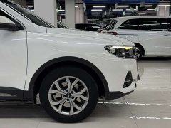 Haval H6 2021 Guochao Edition 1.5T Automatic Champion Edition - фото 4