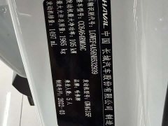 Haval H6 2021 Guochao Edition 1.5T Automatic Champion Edition - фото 5