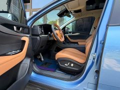 Ford EADO PLUS Blue Whale NE 1.4T GDI DCT Premium Type - фото 4