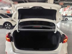 Ford Eado Enjoy Edition PLUS Blue Whale NE 1.4T GDI DCT Premium Edition - фото 12