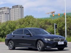 BMW 3 Series 320Li M Sports Package - фото 3