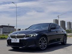 BMW 3 Series 320Li M Sports Package - фото 7
