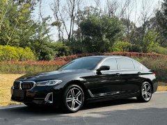 BMW 5 530Li Version Luxury - фото 1