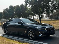 BMW 5 530Li Version Luxury - фото 4