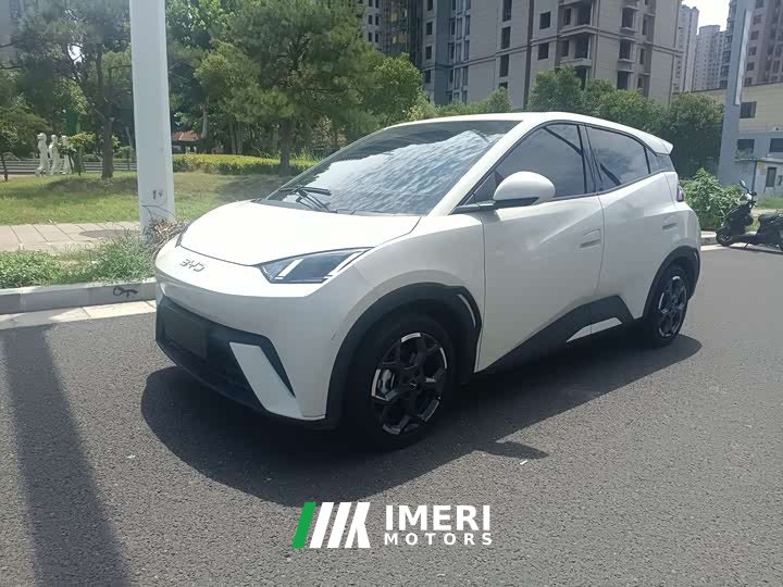 BYD 305km Edition - автомобиль из Китая