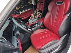 Changan CS75PLUS Classic Edition 1.5T Automatic Pioneer Type - фото 15
