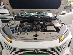 Changan Yida Blue Whale NE 1.5T GDI DCT Enjoy Edition - фото 11