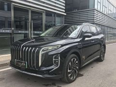 Hongqi HS7 PHEV 2.0T PHEV four-wheel drive Qichang version 6 seats - фото 1