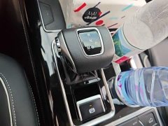 Hongqi HS7 3.0T automatic four-wheel drive Zhilianqi Chang Edition, five seats - фото 15