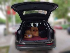 Hongqi HS6 PHEV 220 four-wheel drive smart hybrid version - фото 15