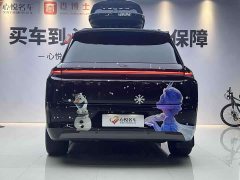 Li Auto Ideal L8 2023 Pro - фото 17