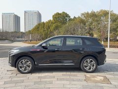 Hongqi HS3 PHEV 115km Jinwei Edition - фото 6