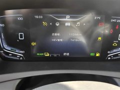 Hongqi HQ9 PHEV 2.0T AWD Business Edition - фото 12