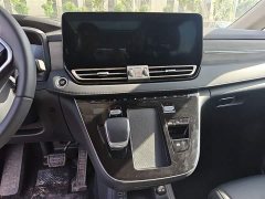 Hongqi HQ9 PHEV 2.0T AWD Business Edition - фото 13
