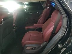 Hongqi E-HS9 2021 Qixian Edition 6-Seater - фото 17