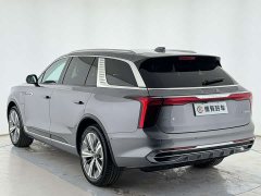 Hongqi E-HS9 460km flagship version six seats - фото 11