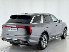 Hongqi E-HS9 460km flagship version six seats - фото 15