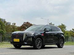 Hongqi HS5 2023 2.0T Qixiang Pro version - фото 1