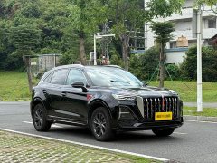 Hongqi HS5 2023 2.0T Qixiang Pro version - фото 3