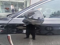 Hongqi H5 2025 2.0T automatic Qichang version - фото 11