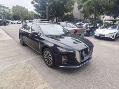 Hongqi H5 2025 2.0T automatic Qichang version - фото 3
