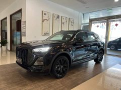 Hongqi HS5 2025 2.0T four-wheel drive Qixiang Pro version - фото 1