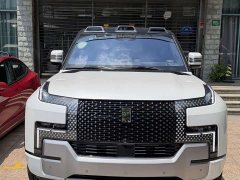 Yangwang U8 2023 Luxury Edition - фото 2