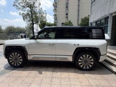 Yangwang U8 2023 Luxury Edition - фото 6
