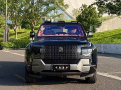 Yangwang U8 2023 Luxury Edition - фото 2