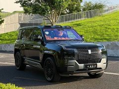 Yangwang U8 2023 Luxury Edition - фото 3