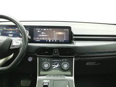 Lynk & Co Xingtu Lingyun S 300T four-wheel drive CCPC Champion Edition - фото 12