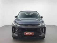 Lynk & Co Xingtu Lingyun S 300T four-wheel drive CCPC Champion Edition - фото 3