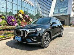 Hongqi HS5 2019 2.0T Smart Flagship Four-Wheel Drive - фото 1