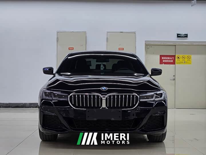 BMW 5 Series 530Li Leading M Sports Package - автомобиль из Китая