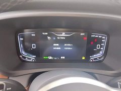 Hongqi HQ9 PHEV 2.0T four-wheel drive business version - фото 12