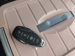 Hongqi HQ9 PHEV 2.0T four-wheel drive business version - фото 9