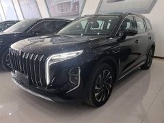 Hongqi HS7 PHEV 2.0T PHEV four-wheel drive Qichang version 6 seats - фото 1