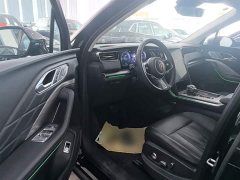 Hongqi HS7 PHEV 2.0T PHEV four-wheel drive Qichang version 6 seats - фото 16