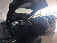 Hongqi HS7 PHEV 2.0T PHEV four-wheel drive Qichang version 6 seats - фото 19