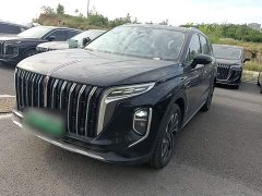 Hongqi HS7 PHEV 2.0T PHEV four-wheel drive Qichang version 6 seats - фото 1