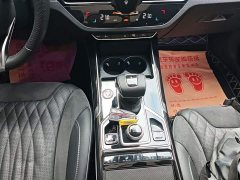 Hongqi HS5 2022 facelift 2.0T Zhilian Qixiang four-wheel drive version - фото 14