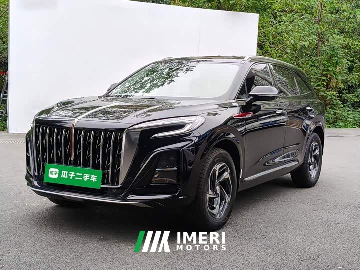Hongqi HS3 2024 1.5T Shanwei Edition - автомобиль из Китая