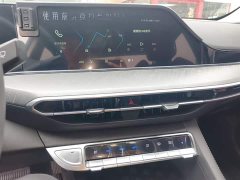 Ford Eado Enjoy Edition PLUS Blue Whale NE 1.4T GDI DCT Premium Edition - фото 13