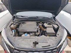 Ford Eado Enjoy Edition PLUS Blue Whale NE 1.4T GDI DCT Premium Edition - фото 20