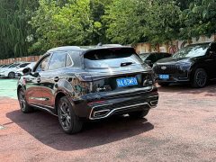 Hongqi HS5 2.0T Qiling Pro version - фото 6