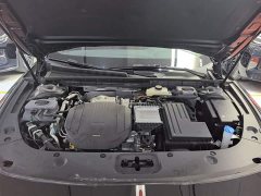Hongqi H5 PHEV 170 Ultra Hybrid Edition - фото 20
