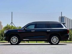 Hongqi Golden Sunflower Guoyao 2022 4.0T Elegant Flagship Edition 6 seats - фото 4