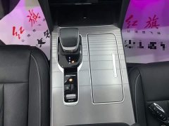Hongqi HS7 PHEV 2.0T PHEV four-wheel drive Qichang version 6 seats - фото 14