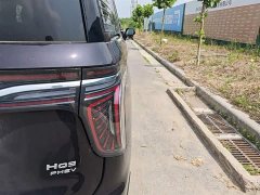 Hongqi HQ9 PHEV 2024 2.0T AWD Business Edition - фото 8